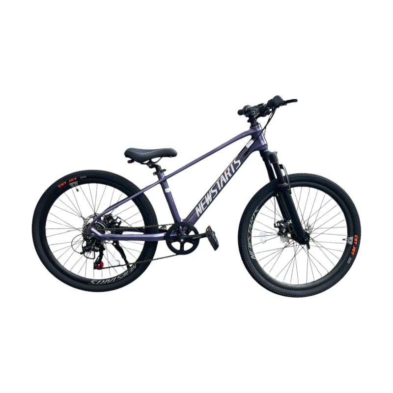 SABAVSHVO VELOSIPEDI-newstarts-24