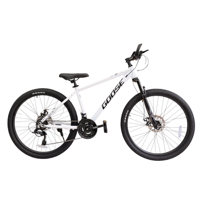 SABAVSHVO VELOSIPEDI-goose-mate-60-26